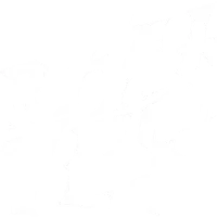 Far Far West game icon — FPS