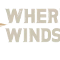 Where Winds Meet game icon — MMORPG